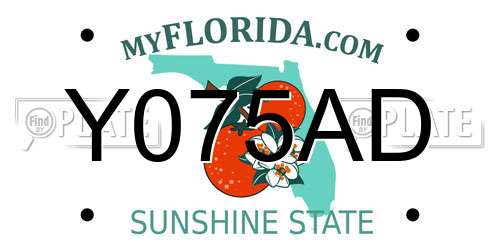Y075AD Florida License Plate
