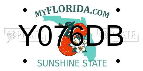 Y076DB Florida License Plate