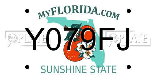 Y079FJ Florida License Plate