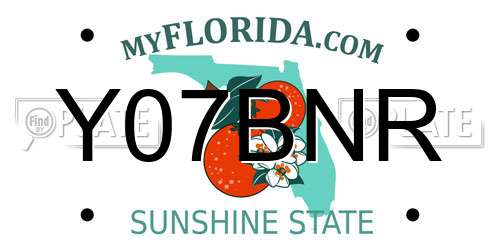 Y07BNR Florida License Plate