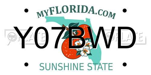 Y07BWD Florida License Plate