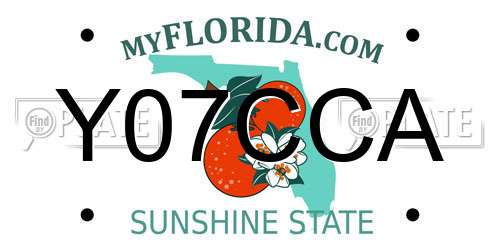 Y07CCA Florida License Plate