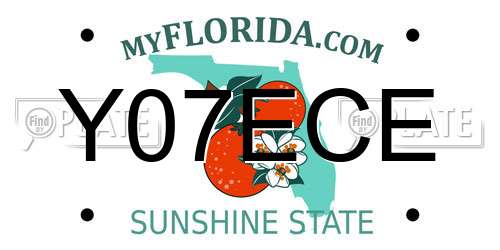 Y07ECE Florida License Plate