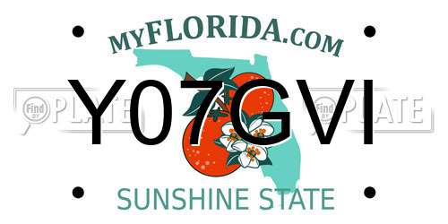 Y07GVI Florida License Plate