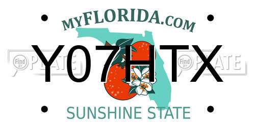 Y07HTX Florida License Plate