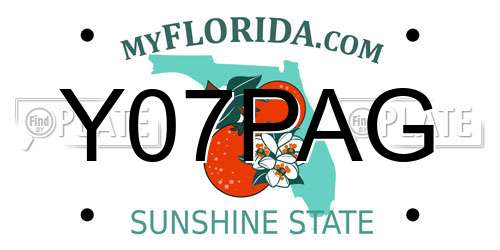 Y07PAG Florida License Plate