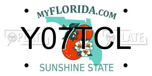 Y07TCL Florida License Plate