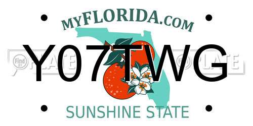 Y07TWG Florida License Plate