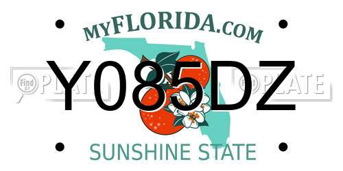 Y085DZ Florida License Plate