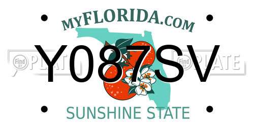 Y087SV Florida License Plate
