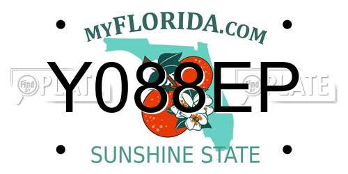 Y088EP Florida License Plate