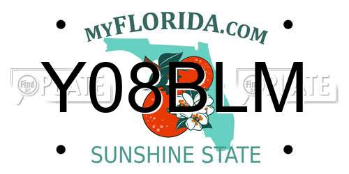 Y08BLM Florida License Plate