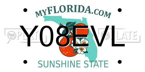 Y08EVL Florida License Plate
