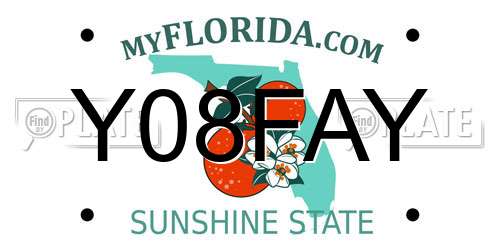Y08FAY Florida License Plate