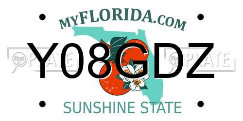 Y08GDZ Florida License Plate