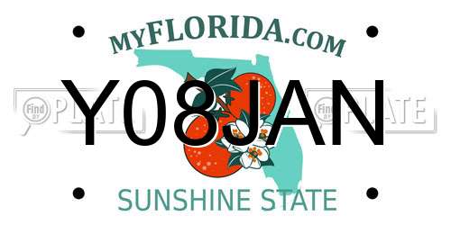 Y08JAN Florida License Plate