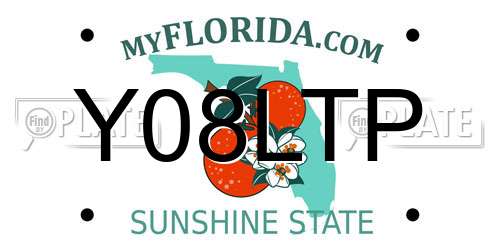 Y08LTP Florida License Plate