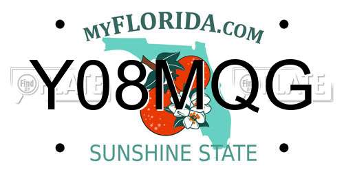 Y08MQG Florida License Plate