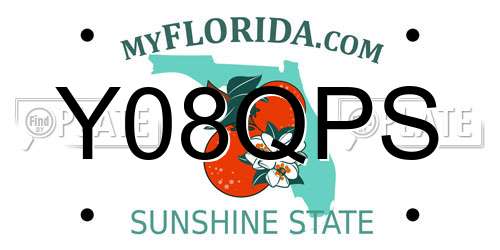 Y08QPS Florida License Plate