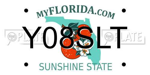 Y08SLT Florida License Plate