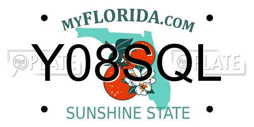 Y08SQL Florida License Plate
