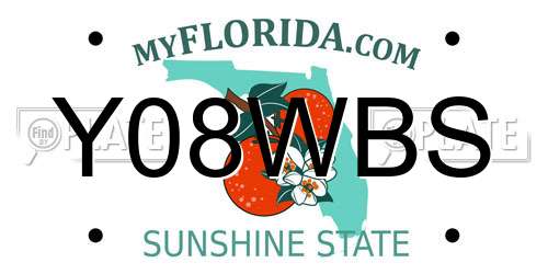 Y08WBS Florida License Plate