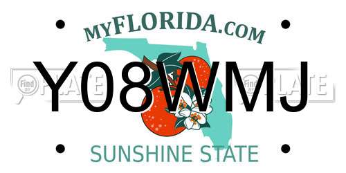 Y08WMJ Florida License Plate