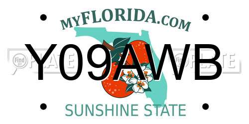 Y09AWB Florida License Plate