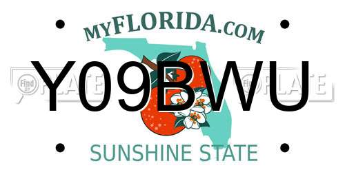 Y09BWU Florida License Plate
