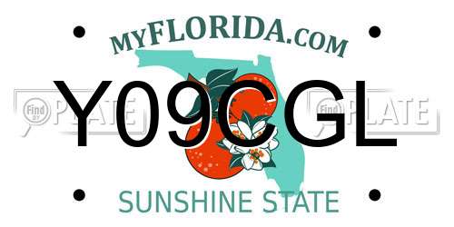 Y09CGL Florida License Plate