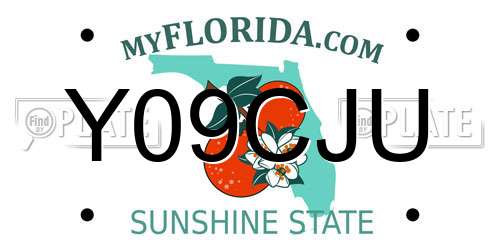 Y09CJU Florida License Plate