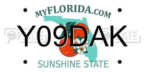 Y09DAK Florida License Plate