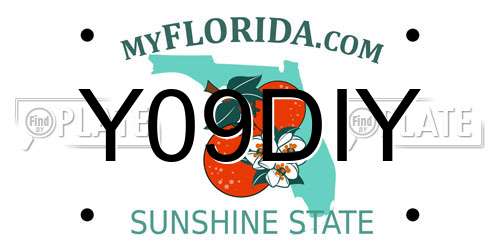 Y09DIY Florida License Plate