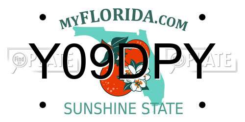 Y09DPY Florida License Plate