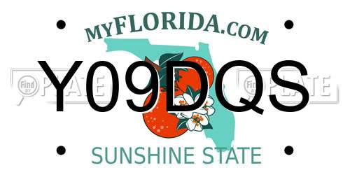 Y09DQS Florida License Plate