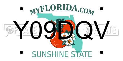Y09DQV Florida License Plate