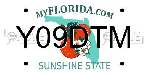 Y09DTM Florida License Plate