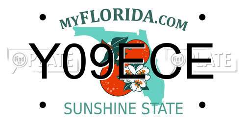 Y09ECE Florida License Plate