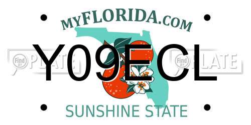 Y09ECL Florida License Plate