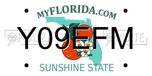 Y09EFM Florida License Plate