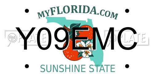 Y09EMC Florida License Plate