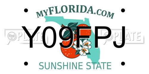 Y09FPJ Florida License Plate