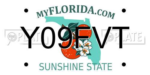 Y09FVT Florida License Plate