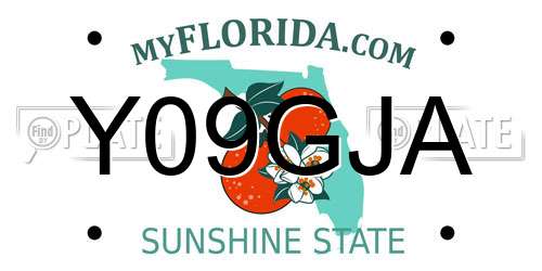 Y09GJA Florida License Plate