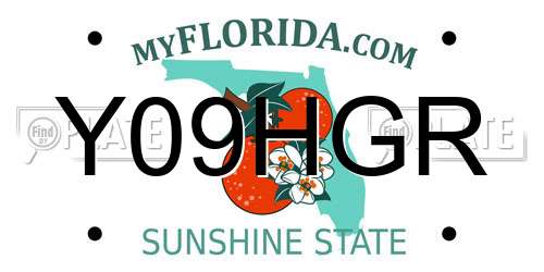 Y09HGR Florida License Plate