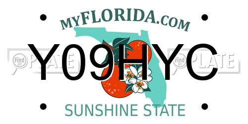 Y09HYC Florida License Plate