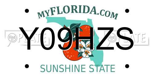 Y09HZS Florida License Plate
