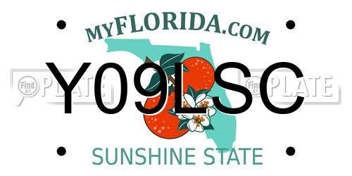 Y09LSC Florida License Plate