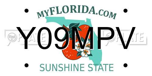 Y09MPV Florida License Plate