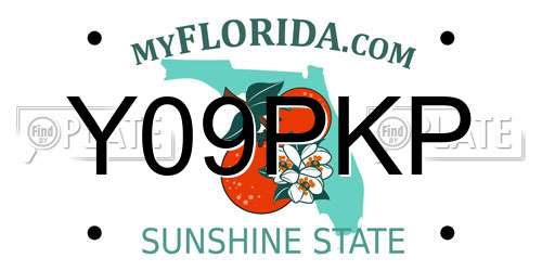 Y09PKP Florida License Plate
